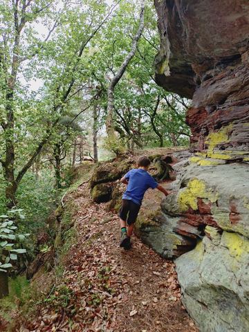 Kind klettert von hinten fotografiert über Felsblöcke seitlich am Weg den Hang hinauf