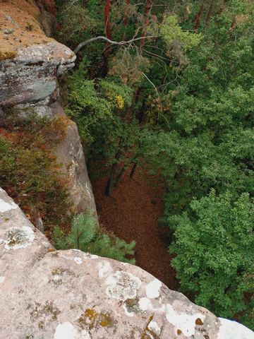Blick von der Felskante steil hinunter in eine schmale, bewaldete Schlucht mit Laub auf dem Grund