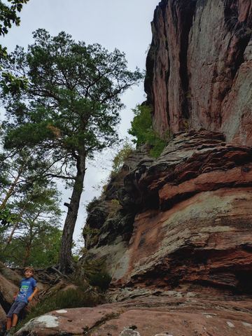 Kind steht klein am Fuß einer hohen, senkrechten Sandsteinwand, daneben eine schief gewachsene Kiefer