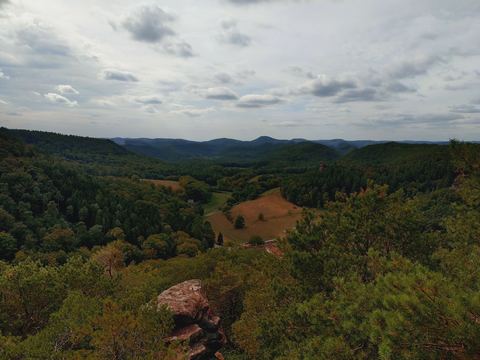 Weiter Blick über das Bärenbrunnertal mit Wiesen im Talgrund und gestaffelten bewaldeten Hügelketten bis zum Horizont