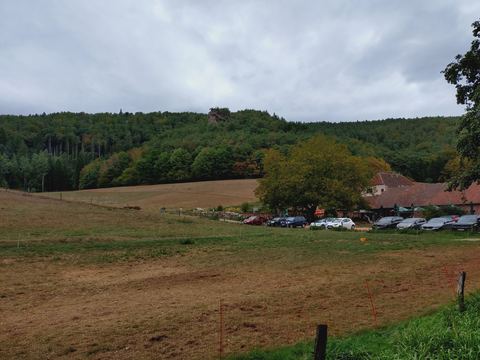 Blick über eine Wiese zum Bärenbrunnerhof, dahinter ein bewaldeter Hang mit einem Felsen auf der Kuppe