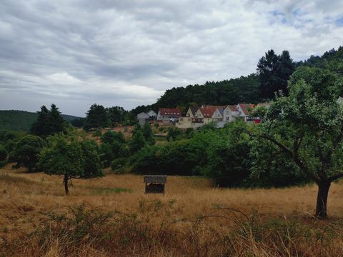 Blick über eine trockene Wiese auf die Häuser von Esthal, dahinter Wald