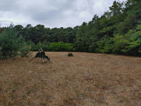 Trockene Heidefläche mit Kiefern am Rand, in der Mitte ein Gestell aus zusammengestellten Ästen