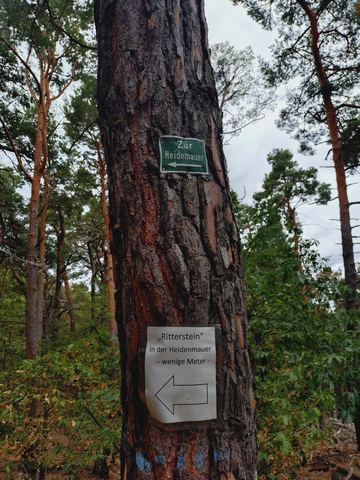 Kiefernstamm mit grünem Schild „Zur Heidemauer“ und darunter ein handgeschriebener Zettel mit Pfeil zum Ritterstein