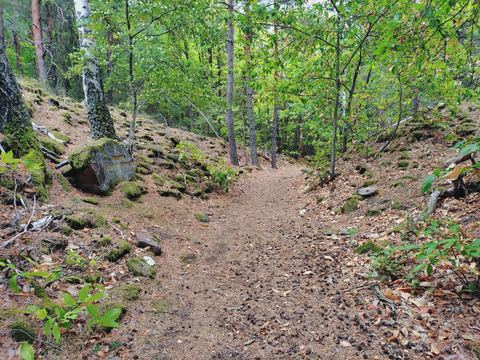 Waldpfad neben einem bemoosten Wall aus Steinbrocken