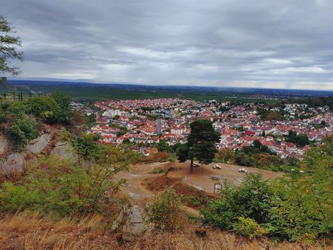 Blick von einer Steilkante über die Dächer von Bad Dürkheim und die Rheinebene unter dunklen Wolken