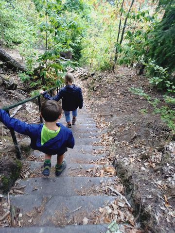 Zwei Kinder gehen von hinten fotografiert eine lange Steintreppe im Wald hinunter