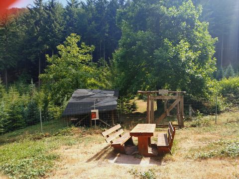 Hölzerne Schutzhütte mit Tisch und Bänken auf einer Lichtung am Waldrand