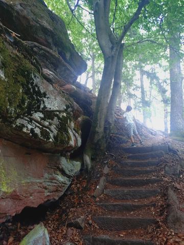 Ausgetretene Stufen führen an einer roten Sandsteinwand bergauf durch den Wald