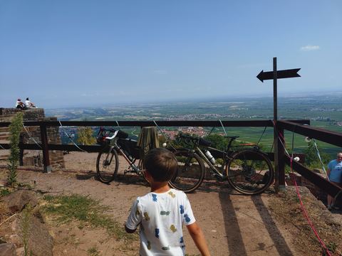 Wegweiser und Aussichtspunkt an der Rietburg, dahinter die weite Ebene