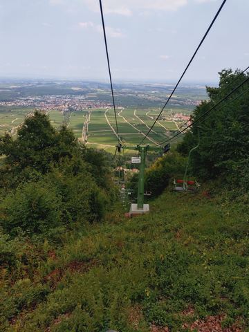 Trasse der Rietburgbahn mit leeren Sesseln, dahinter Weinberge und die Ebene