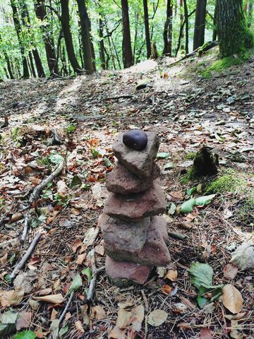 Kleiner Turm aus flachen Sandsteinen auf dem Waldboden