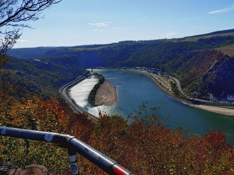 Blick von oben auf die Rheinschleife mit freiliegender Sandbank, dahinter bewaldete Hänge und Felder, im Vordergrund ein Geländer