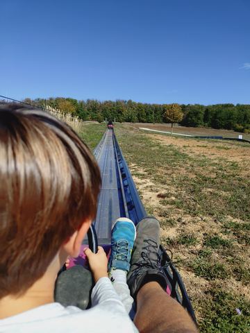 Blick über die Schulter eines Kindes auf die Schiene einer Sommerrodelbahn, die in einem langen Bogen den Hang hinunterführt