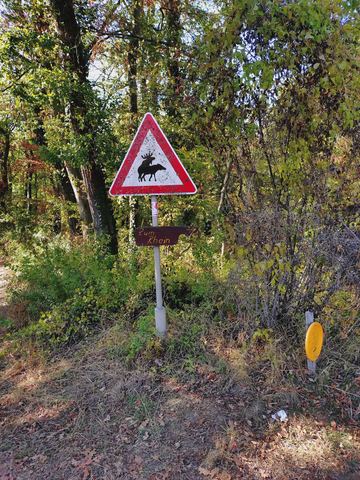 Rotes Warndreieck mit springendem Hirsch, darunter ein selbstgemaltes Holzschild mit der Aufschrift „Zum Rhein“